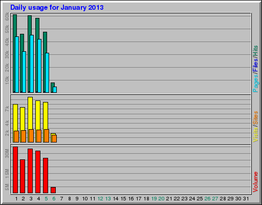 Daily usage for January 2013