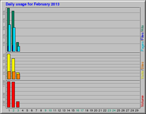 Daily usage for February 2013