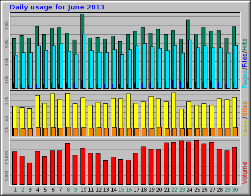 Daily usage for June 2013